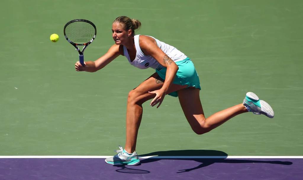 Karolina Pliszkova Karolina Pliszkova