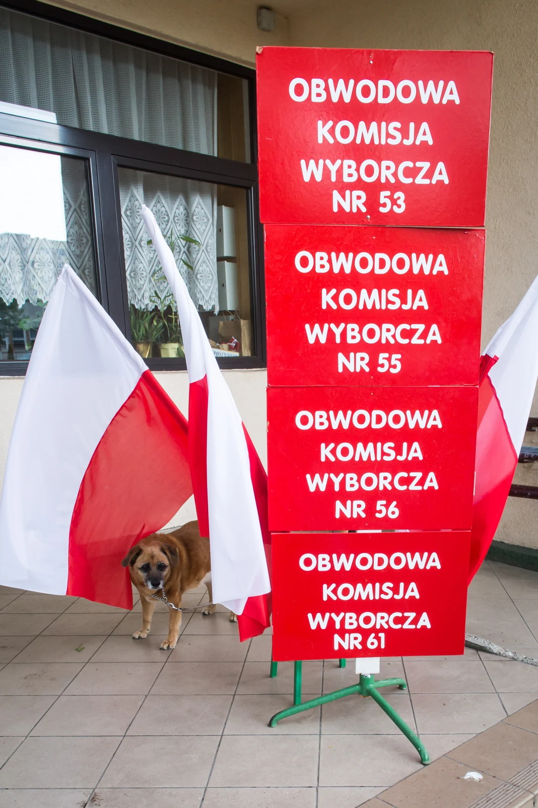Lokal wyborczy w Zespole Szkół nr 5 Mistrzostwa Sportowego w Bydgoszczy