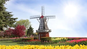 Holandia najpopularniejszym kierunkiem wiosennych podróży. Kraj przyciąga turystów