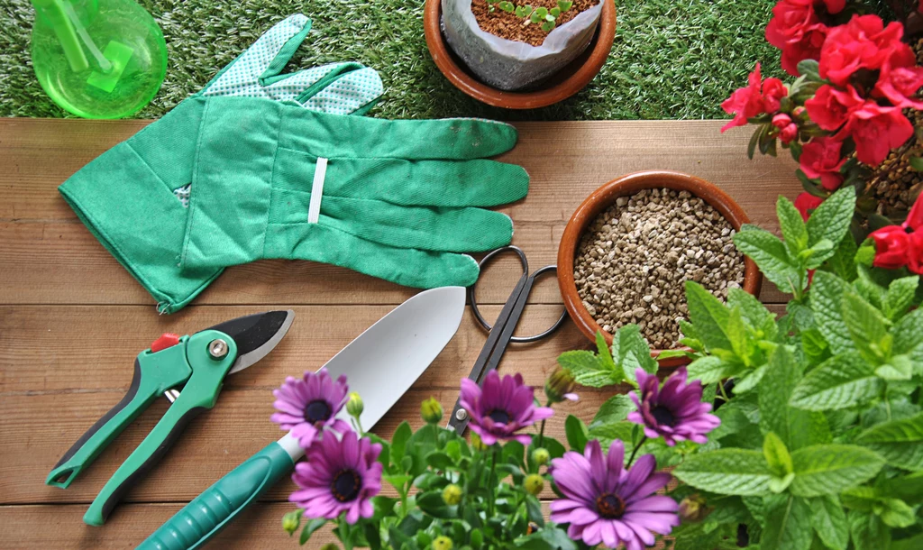 Podstawowa zasada przy pracach porządkowych w ogrodzie to wykorzystywanie materiałów biodegradowalnych