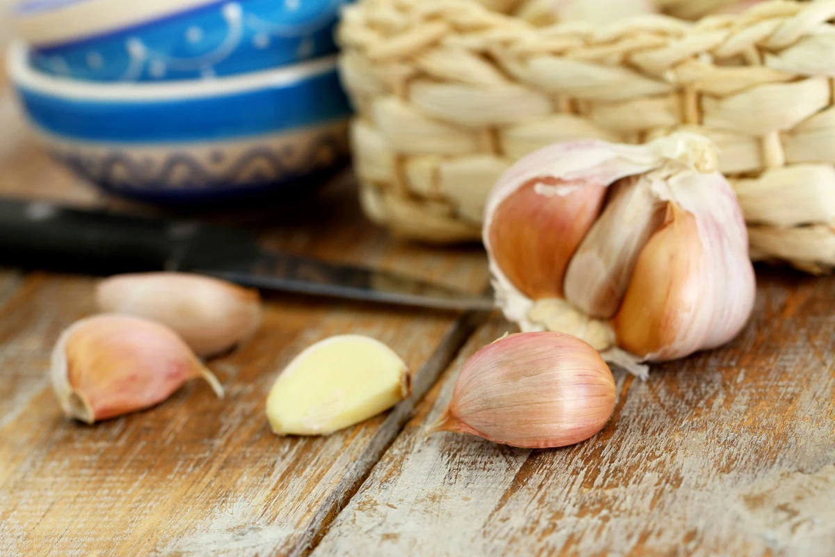 Czosnek słynie z silnych właściwości antybakteryjnych, przeciwgrzybiczych i przeciwwirusowych