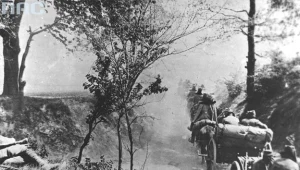 Artyleria I Brygady pod Konarami