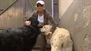 Kadr z materiału wideo