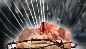 Plakat reklamujący cykl Nowe Kino Argentyńskie