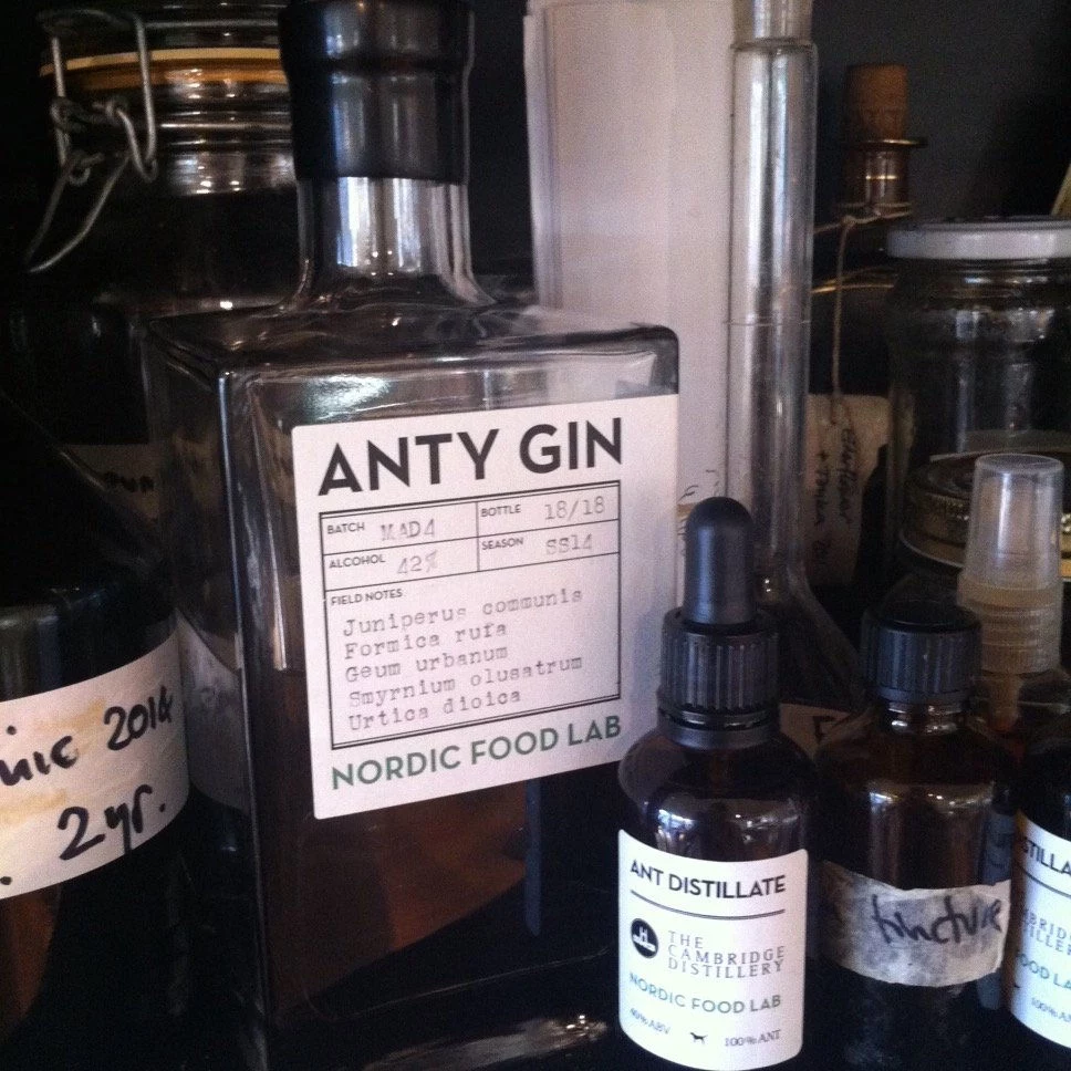 Anty Gin w pracowni Cambridge Distillery