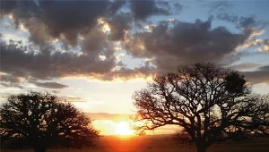 Metafizyczny krajobraz "Cichego światła"