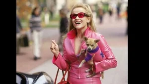 Pupil "Legalnej blondynki" we wdzianku oscarowych projektantów