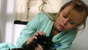 Magdalena Wójcik w serialu "Na kocią łapę"