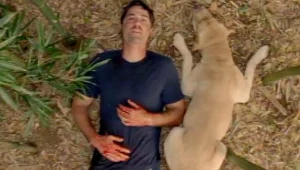 Matthew Fox w finałowym odcinku "Zagubionych"