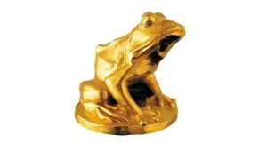 Kto w tym roku zdobędzie Złotą Żabę - najważniejszą nagrodę festiwalu Plus Camerimage?