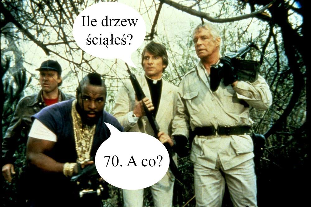 Mr T. - najlepszy drwal świata?