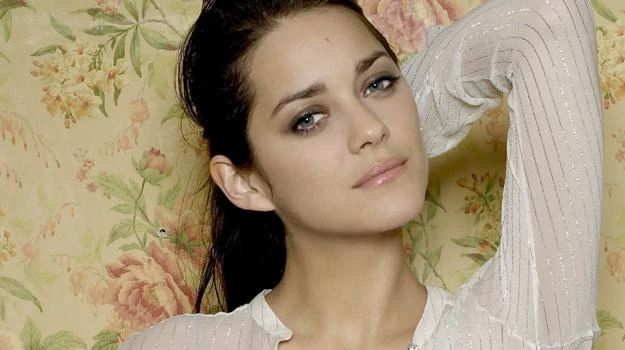 Marion Cotillard: Niczego nie żałuje? Marion Cotillard: Niczego nie żałuje?