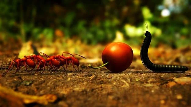 Kadr z filmu "Robaczki z Zaginionej Doliny" Kadr z filmu "Robaczki z Zaginionej Doliny"