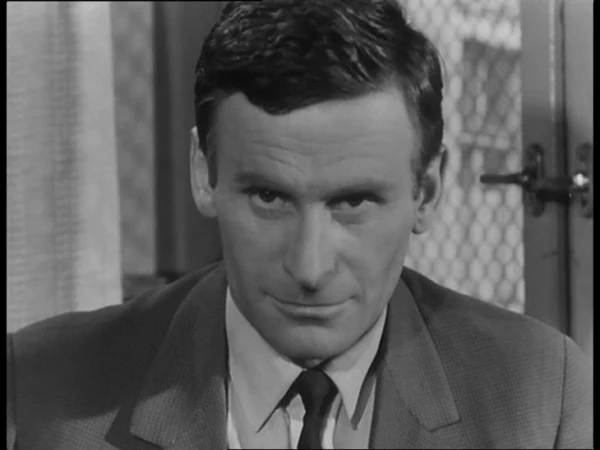 "Kapitan Sowa na tropie"