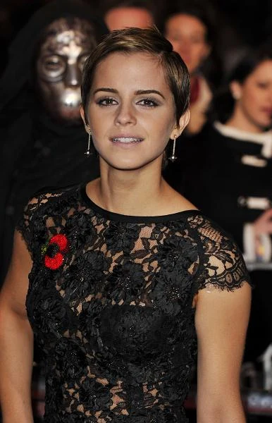 Listopad 2010, premiera filmu "Harry Potter i Insygnia Śmierci: Część 1" - fot. Gareth Cattermole