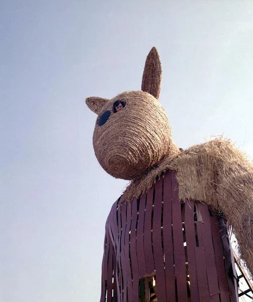 "Oczko mu się odlepiło. Temu misiu!" - pozostaje do dziś najsłynniejszym cytatem z filmu Barei