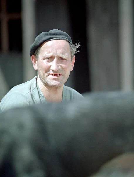 W głośnym filmie Janusza Morgensterna "Trzeba zabić tę miłość" (1972) wcielił się w postać dozorcy budowy