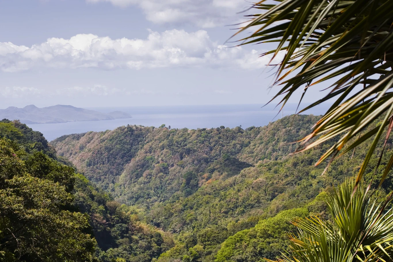 Martynika to wyspa, która zachwyca swoją różnorodnością