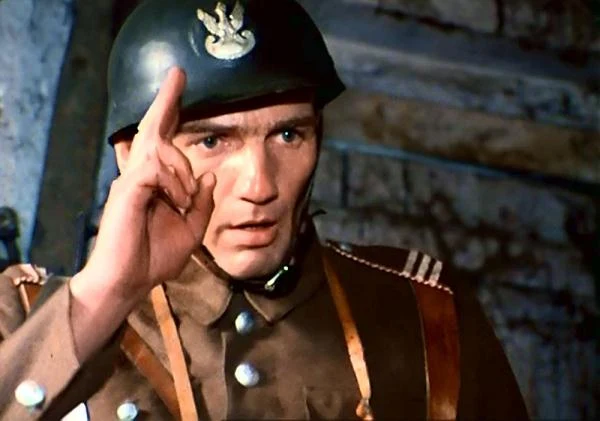 W jednym z najpiopularniejszych polskich seriali - "Polskie drogi" (1976) - Strasburgera oglądaliśmy jako porucznika Władysława Niwińskiego.