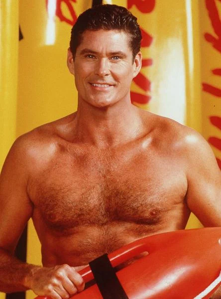 David Hasselhoff - amerykański aktor telewizyjny i filmowy oraz piosenkarz, najbardziej kojarzony z rolami w serialach "Słoneczny patrol" i "Nieustraszony" - we wtorek, 17 lipca 2012, kończy 60 lat!