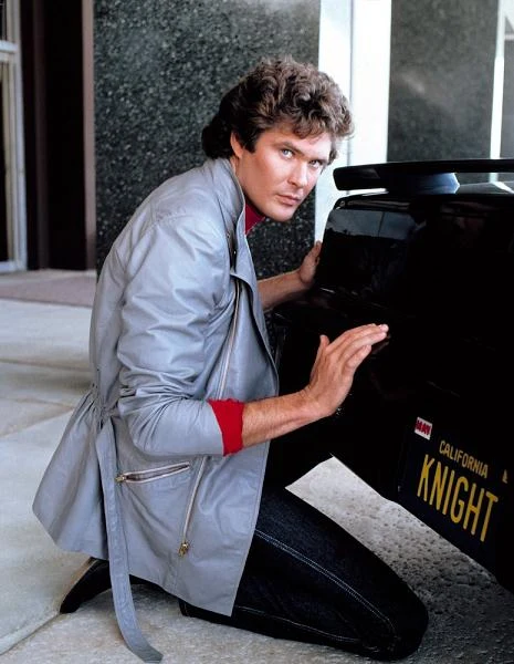 Wielki sukces zdobył rolą policjanta-kierowcy Michaela Knighta, właściciela mówiącego Pontiaca w serialu NBC "Nieustraszony" ("Knight Rider", 1982-86), za którą w 1983 roku został uhonorowany nagrodą People's Choice.