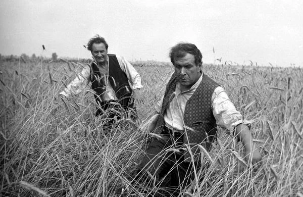 Braworowe kreacje stworzyli w filmie Władysław Hańcza (Kargul) i Wacław Kowalski (Pawlak).