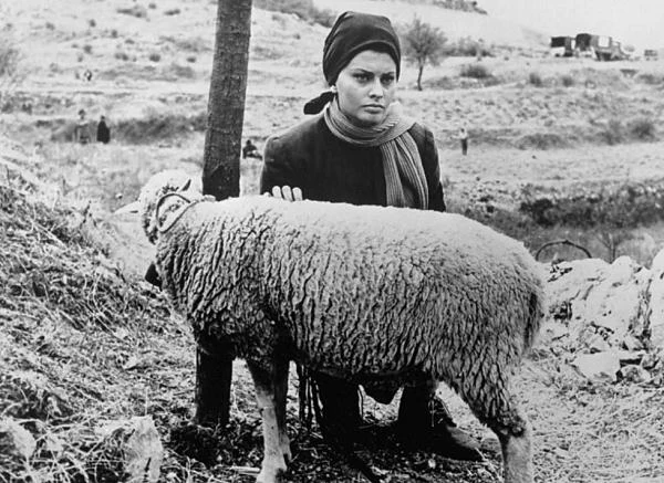 Za główną rolę w filmie "Matka i córka" ("La Ciociara") w reżyserii Vittorio De Siki otrzymała w 1954 roku Oscara. "Ten Oscar zmienił wszystko. Otworzył mi międzynarodowe drzwi, pracowałam z największymi w Hollywood, od Marlona Brando po Car'egoy Granta i Charlie'ego Chaplina. Stało się tak także dlatego, że nie wygrałam z powodu urody, ale za trudną rolę. Grałam w niedbałych ubraniach, bez makijażu" - zauważyła włoska aktorka,