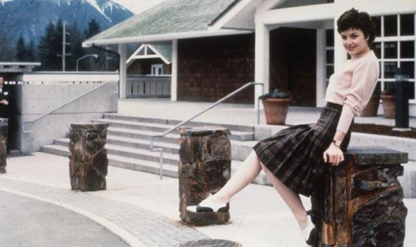 Sherilyn Fenn