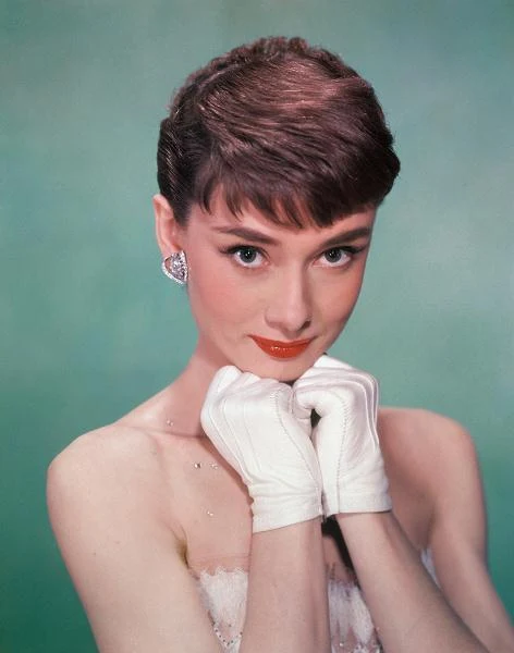 "Jestem pół-Irlandką, pół-Holenderką, urodziłam się w Belgii. Gdybym była psem, byłby ze mnie straszny mieszaniec" - tę wypowiedź Audrey Hepburn na temat własnego pochodzenia przywołuje Barry Paris w biografii aktorki.