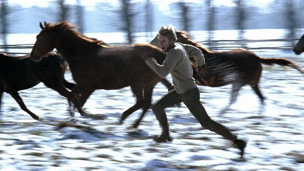 Andrzej Wajda wykorzystał też niektóre pomysły aktorów, na przykład finałową pogoń Daniela Olbrychskiego za końmi.