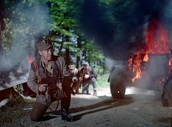 W "Dniu oczyszczenia" Karewicz znów przywdział mundur. Aktor wcielił się w postać kapitana "Stańczyka", członka oddziału majora "Dziadka" (Stanisław Jasiukiewicz). Film opowiadał historię oddziału partyzanckiego AK, który zostaje zdziesiątkowany podczas próby przejęcia angielskiego zrzutu broni i amunicji.