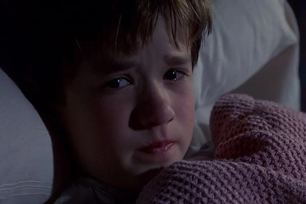 Wreszcie w 1998 roku otrzymał rolę, która odmieniła jego życie. M. Night Shyamalan zaangażował go do swojego filmu "Szósty zmysł", który z miejsca stał się hitem.