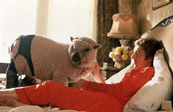 W filmie Woody'ego Allena "Wszystko co chcielibyście wiedzieć o seksie, ale boicie się o to zapytać" (1972) Gene Wilder wcielił się w postać dr. Rossa, który zakochuje się w... owcy. Zwierzę należy do armeńskiego pasterza, który jest pacjentem doktora. Segment filmu, którego bohaterem jest postać Wildera, nosi edukacyjny podtytuł "Czym jest sodomia?". W filmie Woody'ego Allena "Wszystko co chcielibyście wiedzieć o seksie, ale boicie się o to zapytać" (1972) Gene Wilder wcielił się w postać dr. Rossa, który zakochuje się w... owcy. Zwierzę należy do armeńskiego pasterza, który jest pacjentem doktora. Segment filmu, którego bohaterem jest postać Wildera, nosi edukacyjny podtytuł "Czym jest sodomia?".