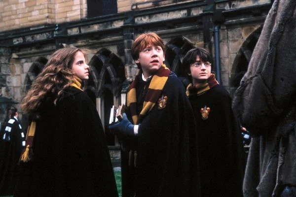 W adaptacji powieści J.K. Rowling Grint wcielił się w Rona Weasleya, najlepszego przyjaciela tytułowego bohatera.