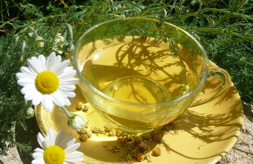 Napar z rumianku ma wspaniałe właściwości, które warto wykorzystać w pielęgnacji skóry