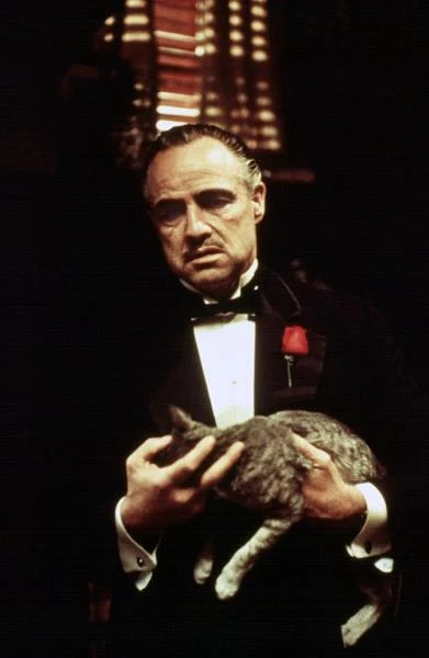 O Marlonie Brando znów stało się głośno dzięki roli w filmie "Ojciec chrzestny" (1972), która przyniosła mu w 1973 roku drugiego Oscara. Mimo legendarnej wręcz kłótliwości aktora na planie, przez 35 dni zdjęciowych z jego udziałem nie było żadnego zatargu między nim i reżyserem Francisem Fordem Coppolą. Zarówno wygląd, jak i głos Vito Corleone są zasługą charakteryzatora Dicka Smitha, który zmienił 47-aktora w starca: Brando występował w lateksowej masce, deformującej jego twarz - wbrew legendzie, że wypychał policzki watą bądź papierem. Honorarium Brando wyniosło 100 tys. dolarów plus procent od zysku, w sumie 16 mln.