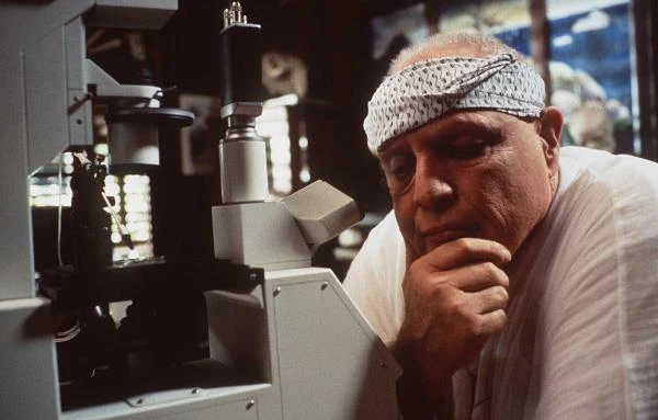 W latach 90. pojawił się w kilku ciekawnych produkcjach, m.in. "Don Juanie De Marco" (1995). Jego ostatnim filmem jest "Rozgrywka" z 2001 roku z Robertem De Niro i Edwardem Nortonem. Marlon Brando zmarł w 2004 roku w wieku 80 lat po tym, jak lekarze wykryli u niego poważną wadę serca. Cierpiał także na zaawansowaną cukrzycę i w ostatnich latach życia poruszał się głównie na wózku inwalidzkim z przyłączonym aparatem tlenowym.