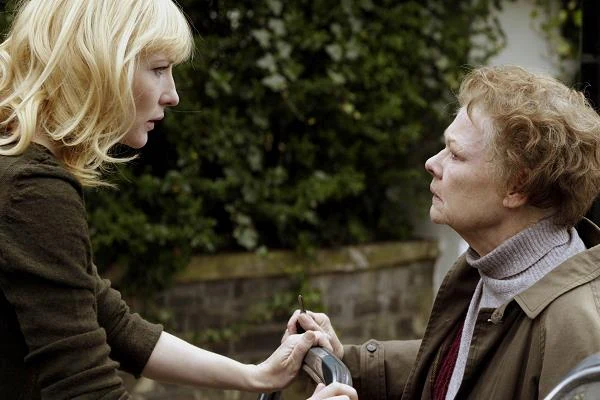 40-letnia nauczycielka (Blanchett) rozpoczyna romans z 15-letnim uczniem. Powierniczką jej sekretu staje się koleżanka z pracy (Judi Dench). Za wspaniałą kreację w "Notatkach o skandalu" (2007), ekranizacji powieści Zoe Heller, Blanchett znów była nominowana do nagrody Akademii.

W "I'm Not There. Gdzie indziej jestem" (2007) Todda Haynesa, portrecie Boba Dylana, w którym Blanchett (nominowana do Oscara), Christian Bale, Heath Ledger, Richard Gere oraz Marcus Carl Franklin prezentowali na ekranie różne aspekty osobowości muzyka.

Z Bradem Pittem, z którym współpracowała już przy filmie "Babel", w wyreżyserowanym przez Davida Finchera "Ciekawym przypadku Benjamina Buttona" (2008), opowieści o mężczyźnie, który zamiast starzeć się - młodniał.