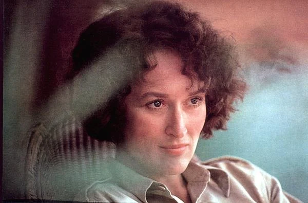 W epickim romansie "Pożegnanie z Afryką" (1985) Streep zagrała pisarkę Karen Blixen, która wraz z niewiernym mężem (Klaus Maria Brandauer) prowadzi plantację kawy w Kenii krótko przed pierwszą wojną światową. Karen ze zdumieniem odkrywa, że kocha nową ojczyznę, ludzi i pewnego tajemniczego myśliwego (Robert Redford).