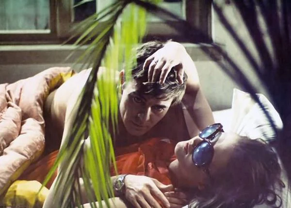 Akcja "Polowania na muchy" rozgrywa się w Warszawie w latach 60. ubiegłego wieku. Głównym bohaterem jest Włodek (Zygmunt Malanowicz) - przeżywający kryzys wieku średniego  pracownik księgarni, który traci głowę dla pewnej studentki polonistyki (Małgorzata Braunek).