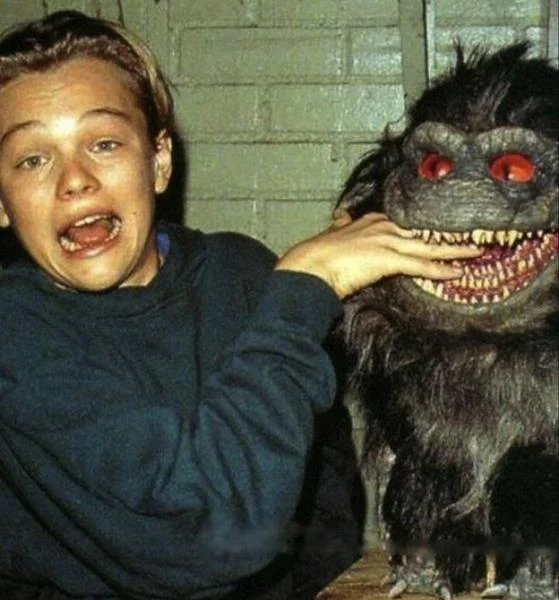 Za kilkanaście lat jego nazwisko będziemy wymieniac jednym tchem z wielkimi Hollywood: Alem Pacino, Robertem De Niro oraz Dustinem Hoffmanem. Obchodzący dziś 40. urodziny Leonardo DiCaprio udowodnił już jednak nie raz, że potrafi zagrać w dosłownie wszystko. Aby dogonić słynnych poprzedników, brakuje mu chyba tylko Oscara (ma na koncie aż 4 nominacje). Po raz pierwszy na kinowym ekranie oglądaliśmy go jednak w w 1991 roku w  komediowym horrorze sci-fi "Critters 3".