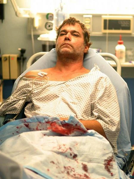 W 2004 roku Liotta pojawił się gościnnie w jednym odcinku popularnego serialu "Ostry dyżur". Aktor otrzymał za swój epizod statuetkę Emmy.