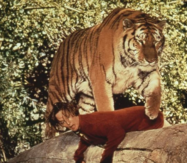 Na kinowym ekranie Hedren mogliśmy zobaczeć później m.in. w "Hrabinie z Hongkongu" (1967) Charliego Chaplina, "Roar" (1981) w reżyserii ówczesnego męża, Noela Marshalla (na zdjęciu) oraz thrillerze Johna Schlesingera "Pacific Heights" (1990).