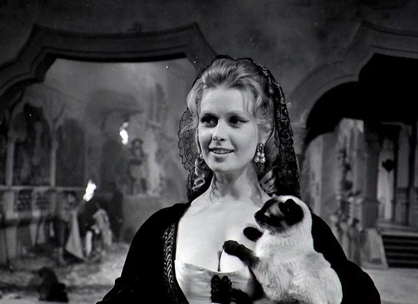 Plenery "Rękopisu" zrealizowano w Jurze Krakowsko-Częstochowskiej, a w parku Morskie Oko we Wrocławiu wybudowano ogromne dekoracje do scen madryckich - plac Słońca, winiarnie, kościół i gospodę. Na zdjęciu Beata Tyszkiewicz.