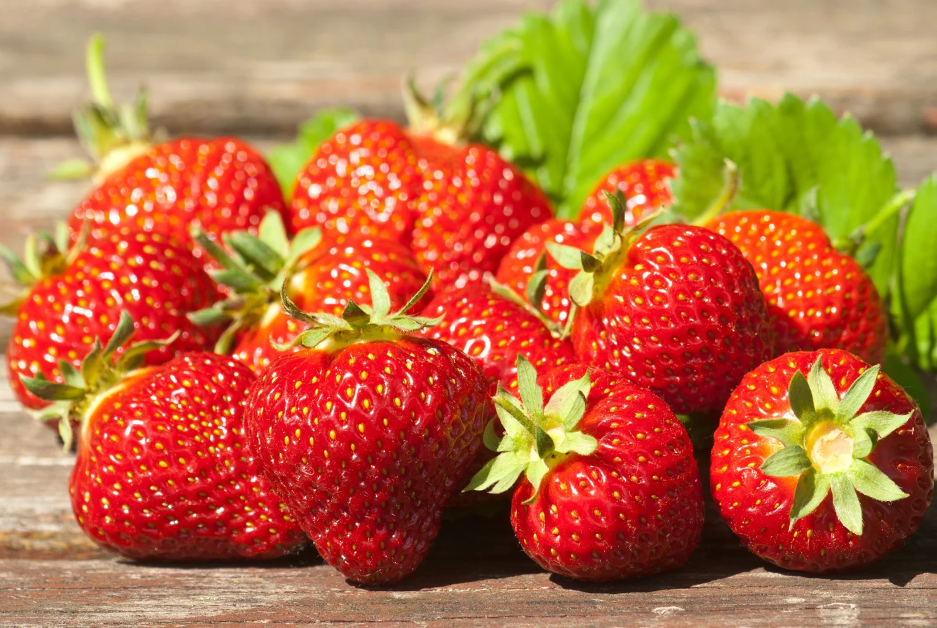 Marzysz o zdrowych i dorodnych truskawkach? Zapobiegaj ich chorobom, nawoź je i, przede wszystkim, regularnie odchwaszczaj grządki