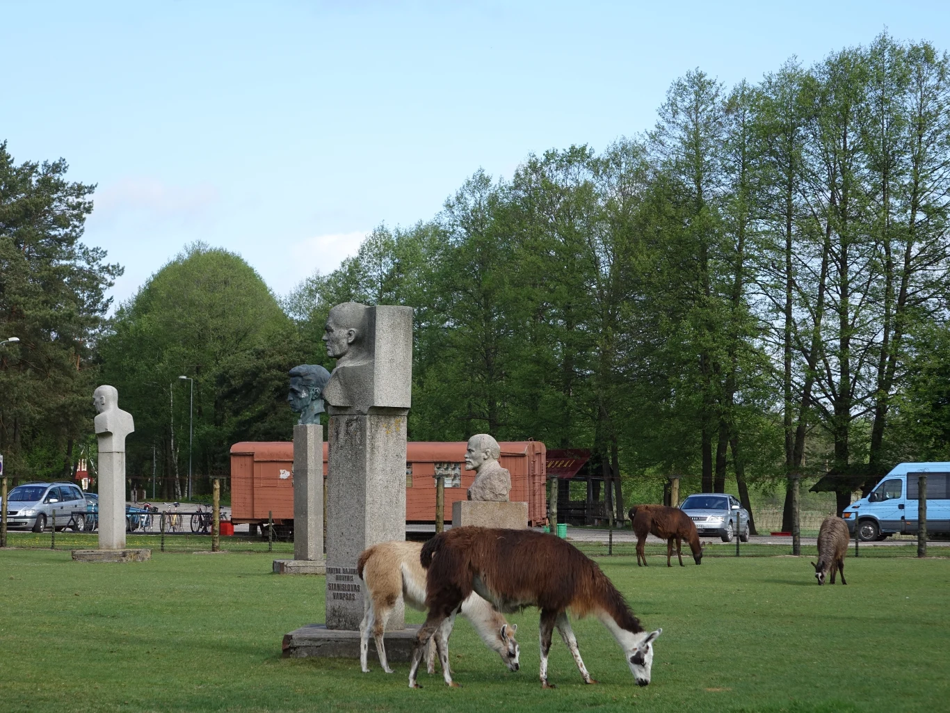 Dziś w Parku Grutas znajduje się też minizoo a zwierzęta przechadzają się pomiędzy eksponatami