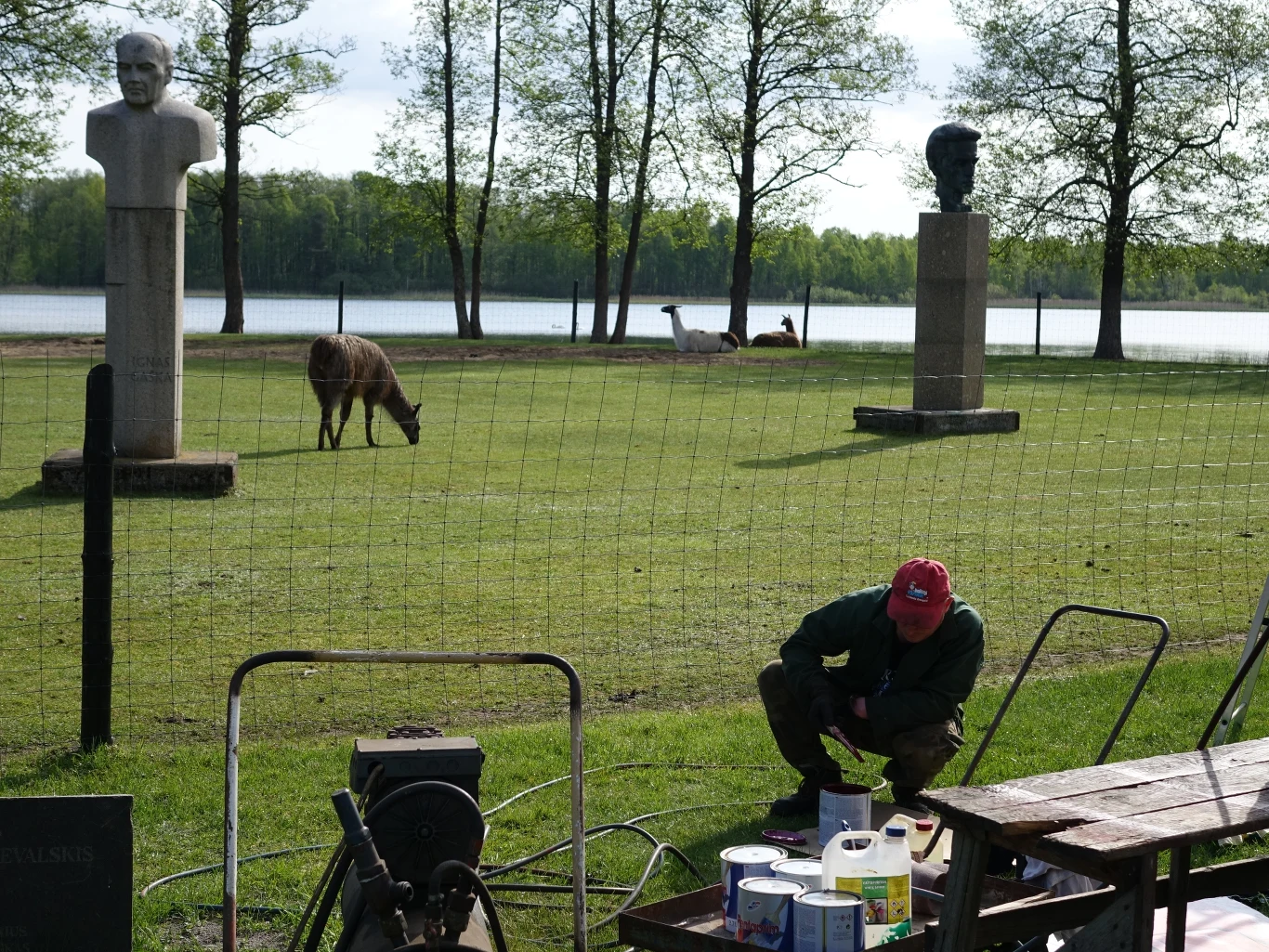 Dziś w Parku Grutas znajduje się też minizoo a zwierzęta przechadzają się pomiędzy eksponatami