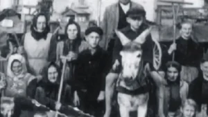 Kadr z materiału TVP