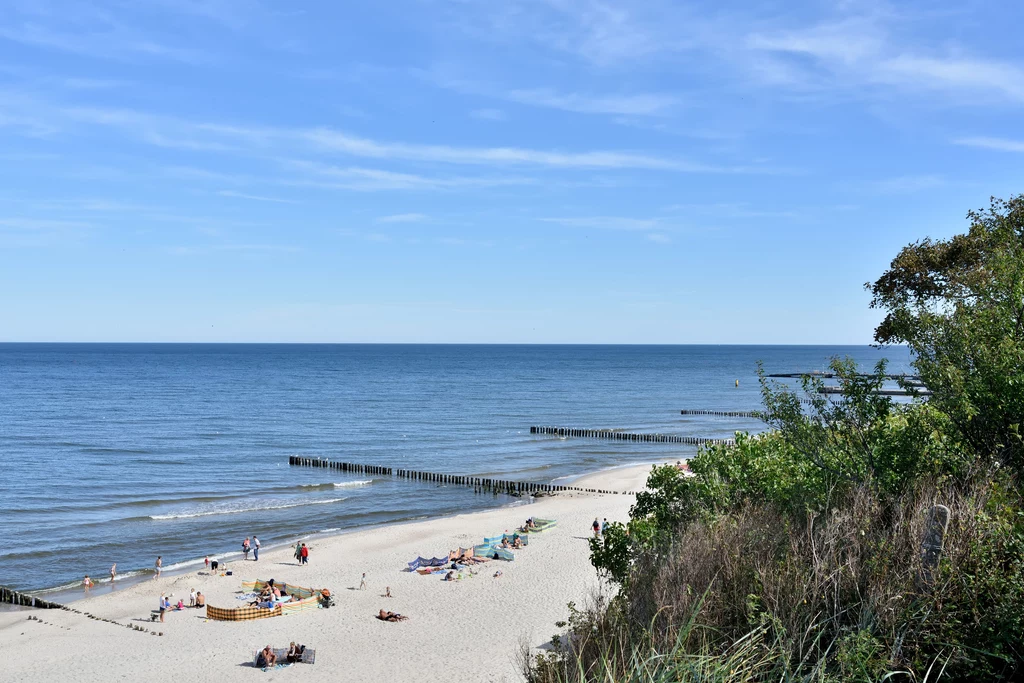 Nadbałtyckie plaże to najpopularniejszy wybór na ten rok