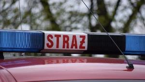 Zdjęcie ilustracyjne